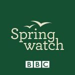 BBC Spring Watch